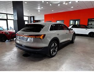 
										AUDI E-TRON 50 QUATTRO full									