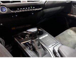 
										LEXUS UX 2.0 250H BUSINESS full									