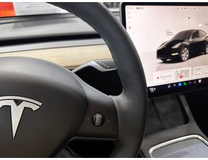 
										TESLA MODEL Y GRAN AUTONOMIA 4WD full									