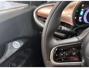 
										FIAT 500 ICON HB 320KM 85KW (118CV) full									