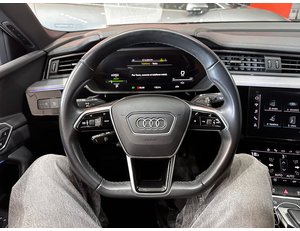 
										AUDI E-TRON ADVANCED 55 QUATTRO full									