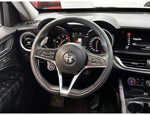 
										ALFA ROMEO STELVIO 2.2 DIESEL 140KW (190CV) EXECUTIVE RWD full									
