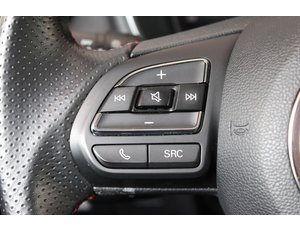 
										MG EHS 1.5T-GDI PHEV COMFORT full									
