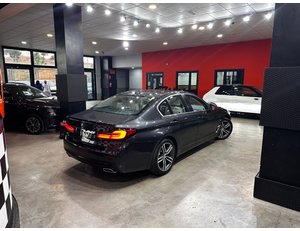 
										BMW SERIE 5 530E full									
