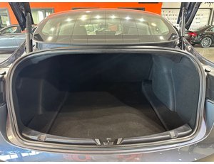 
										TESLA MODEL 3 GRAN AUTONOMIA AWD full									