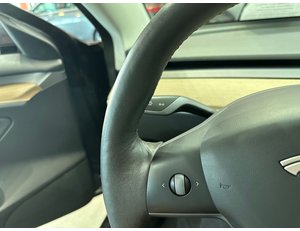 
										TESLA MODEL 3 GRAN AUTONOMIA AWD full									