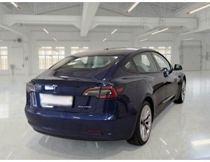 
										TESLA MODEL 3 GRAN AUTONOMIA AWD full									