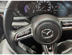 
										MAZDA MX-30 E-SKYACTIV 107KW ADVANTAGE MODERN CONF. full									