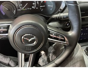 
										MAZDA MX-30 E-SKYACTIV 107KW ADVANTAGE MODERN CONF. full									