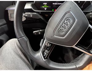 
										AUDI E-TRON ADVANCED 55 QUATTRO full									