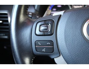 
										LEXUS NX 2.5 300H LUXURY 4WD full									