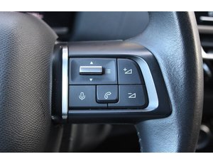 
										CITROEN C4 PURETECH 130 S&S 6V YOU full									