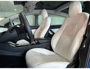 
										TESLA MODEL 3 ESTANDAR PLUS RWD full									