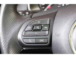 
										MG ZS EV 45KWH LUXURY full									