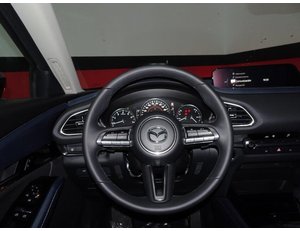 
										MAZDA CX-30 2.0 E-SKYACTIV 122CV MHEV AT ZENITH full									