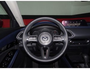 
										MAZDA CX-30 2.0 E-SKYACTIV 122CV MHEV AT ZENITH full									