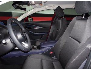 
										MAZDA CX-30 2.0 E-SKYACTIV 122CV MHEV AT ZENITH full									