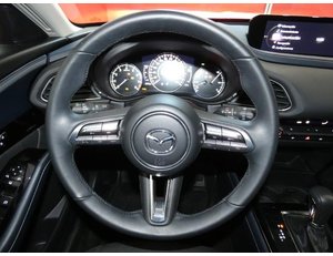 
										MAZDA CX-30 2.0 E-SKYACTIV 122CV MHEV AT ZENITH full									