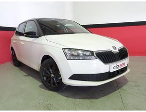 
										SKODA FABIA 1.0 TSI 95CV COLOR CONCEPT DSG full									
