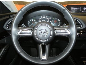 
										MAZDA CX-30 2.0 E-SKYACTIV 122CV MHEV ZENITH full									