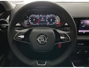 
										SKODA FABIA 1.0 TSI 110CV AMBITION DSG full									
