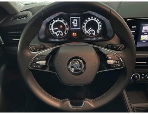 
										SKODA KAMIQ 1.0 TSI 110CV ACTIVE full									