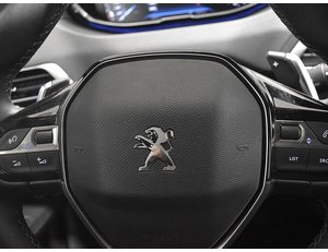 
										PEUGEOT 3008 1.5 BLUEHDI 130CV ALLURE PACK EAT8 full									