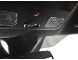 
										FORD FOCUS SPORTBREAK 1.0 ECOBOOST 125CV MHEV ST LINE full									
