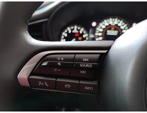 
										MAZDA CX-30 2.0 E-SKYACTIV G 122CV MHEV PRIME-LINE full									
