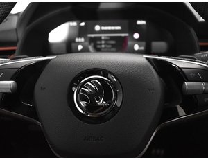 
										SKODA KAMIQ 1.0 TSI 115CV DESIGN DSG full									