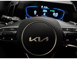 
										KIA SPORTAGE 1.6 TGDI 215CV HEV DRIVE full									