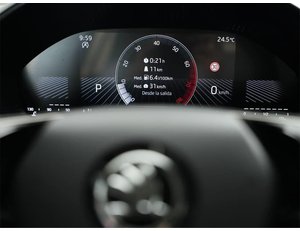 
										SKODA FABIA 1.0 TSI 115CV SELECTION DSG full									