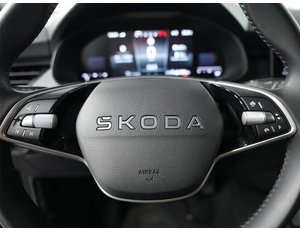 
										SKODA KAMIQ 1.0 TSI 115CV SELECTION full									