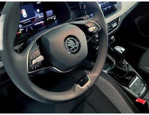
										SKODA KAMIQ 1.0 TSI 115CV SELECTION DSG full									