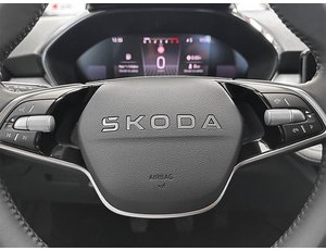 
										SKODA FABIA 1.0 TSI 95CV SELECTION full									
