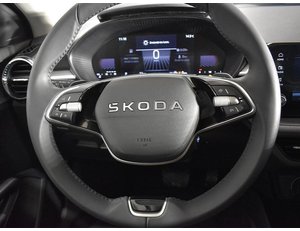 
										SKODA FABIA 1.0 TSI 115CV SELECTION DSG full									