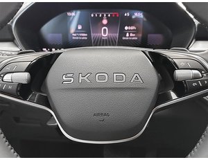 
										SKODA FABIA 1.0 TSI 115CV SELECTION DSG full									