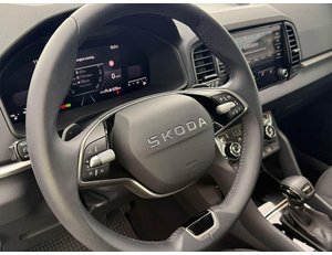 
										SKODA KAROQ 1.5 TSI 150CV SELECTION DSG full									