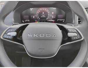 
										SKODA KAROQ 1.5 TSI 150CV SELECTION DSG full									