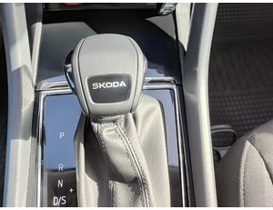 
										SKODA KAROQ 1.5 TSI 150CV SELECTION DSG full									