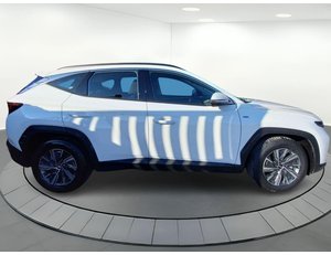 
										HYUNDAI TUCSON 1.6 CRDI 100KW (136CV) 48V MAXX DCT full									