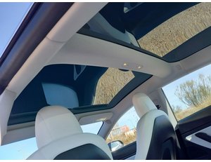 
										TESLA MODEL 3 75 KWH PERFORMANCE DUAL MOTOR full									