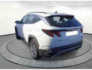 
										HYUNDAI TUCSON 1.6 CRDI 100KW (136CV) 48V MAXX DCT 4X4 full									