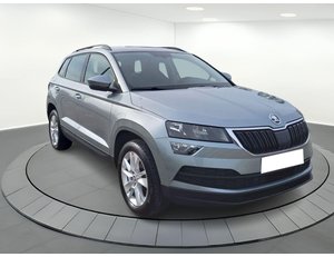 
										SKODA KAROQ 1.6 CR TDI SCRAMBITION full									