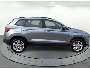 
										SKODA KAROQ 1.6 CR TDI SCRAMBITION full									