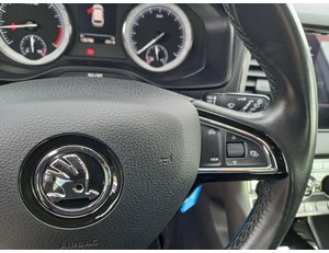 
										SKODA KAROQ 1.6 CR TDI SCRAMBITION full									