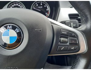 
										BMW X1 1.5 D SDRIVE16 ADBLUE full									