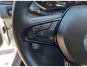 
										RENAULT CLIO BUSINESS 74 KW (100CV) GLP full									