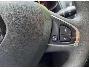 
										RENAULT CLIO BUSINESS ENERGY TCE 66KW (90CV) GLP full									
