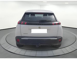 
										PEUGEOT 2008 ACTIVE BLUEHDI 81KW (110CV) 81KW 5P full									